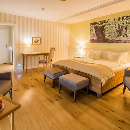 Hotel Landhaus Ammann-3